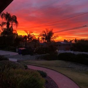 Meet your Posher, Jana